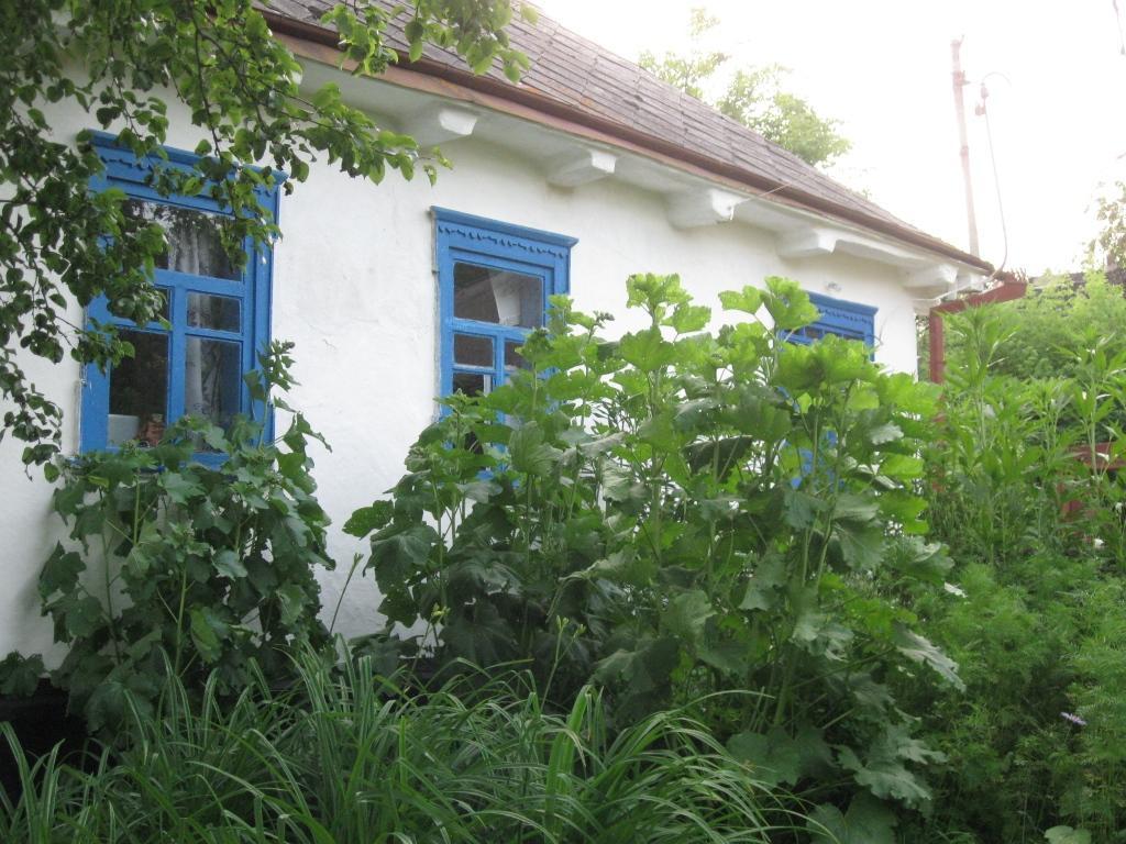 Dmitrenki Kалиновий Kущ מראה חיצוני תמונה